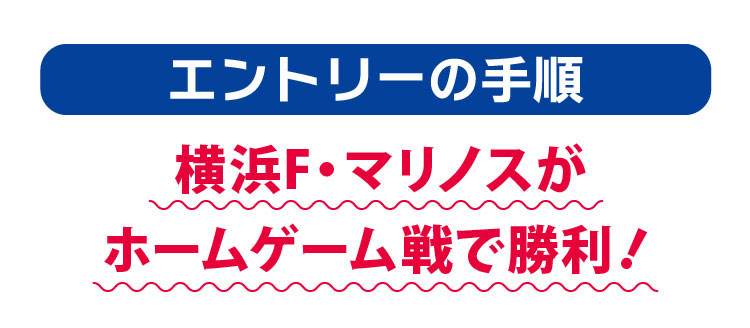 エントリーの手順