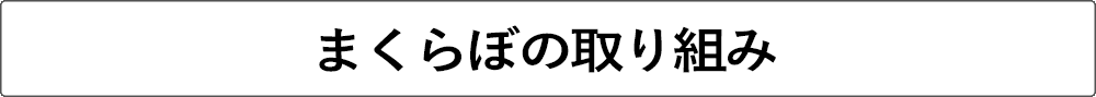 まくらぼの取り組み